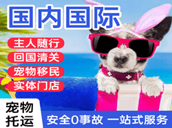 郑州机场邮寄国际宠物托运 【国